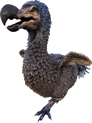 DODO plan icon