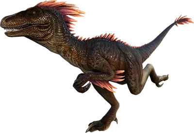 RAPTOR plan icon